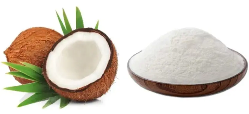 Coconut Milk Powder Coconut Milk Powder