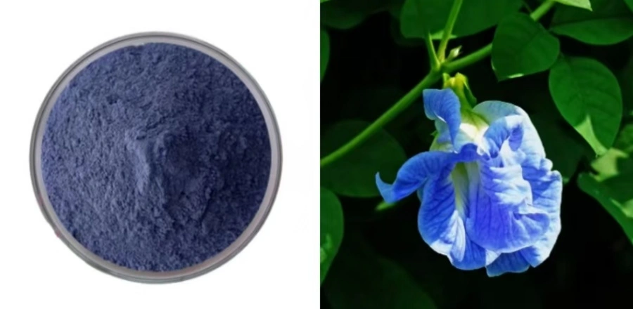 Butterfly Pea Flower Powder Butterfly Pea Flower Powder