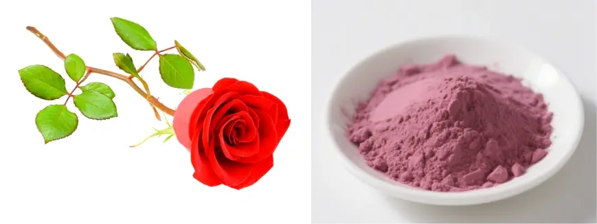 Bulk Rose Powder Bulk Rose Powder