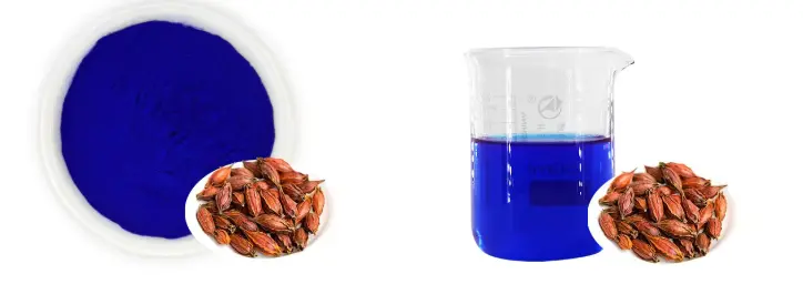 Gardenia Blue Powder