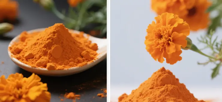 Lutein Powder