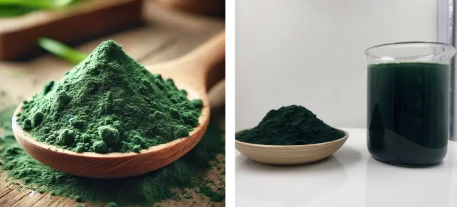 Spirulina Powder
