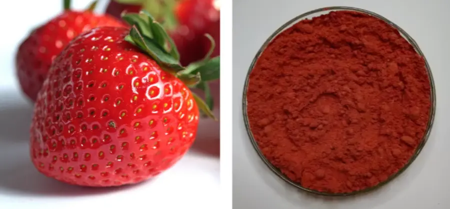 Freeze-Dried Strawberry Powder Freeze-Dried Strawberry Powder