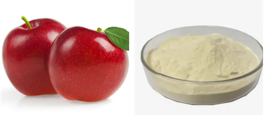 Freeze-Dried Apple Powder