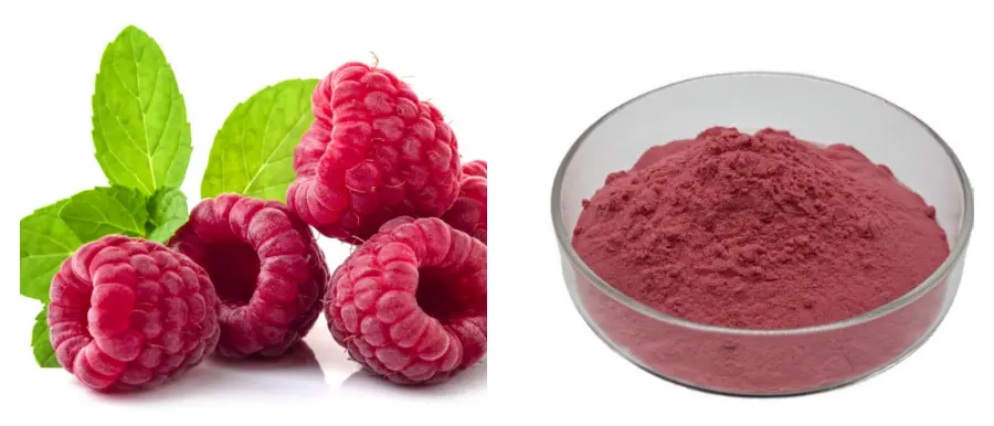 Freeze-Dried Raspberry Powder 