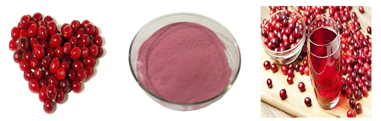 Freeze-Dried Cranberry Powder Freeze-Dried Cranberry Powder