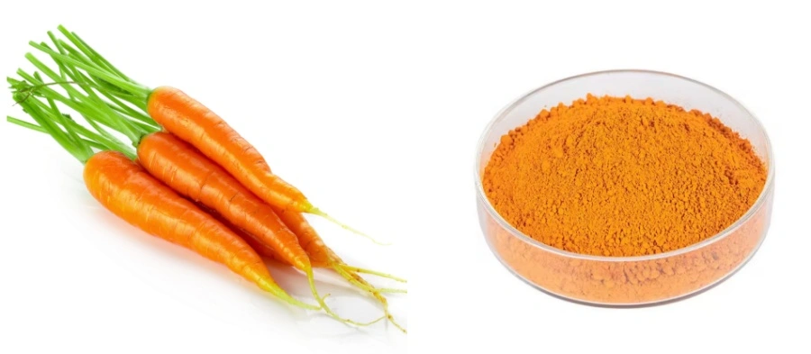 Freeze-Dried Carrot Powder