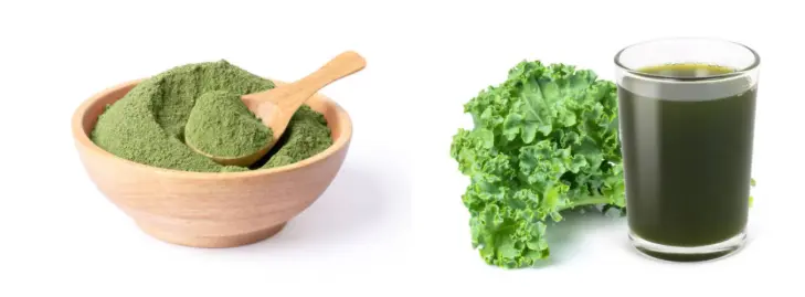Freeze-Dried Kale Powder 