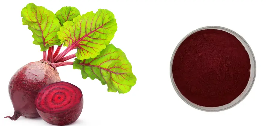 Freeze-Dried Beetroot Powder 