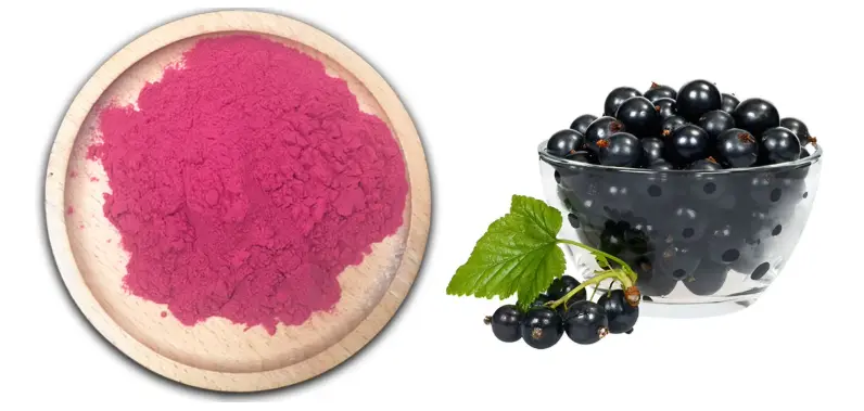 Black Currant Powder Black Currant Powder