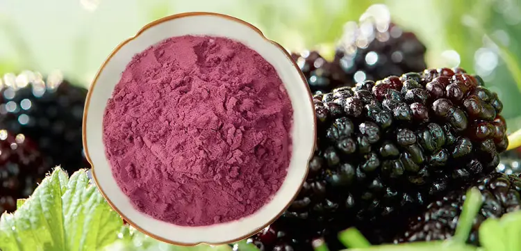 Mulberry Powder Mulberry Powder