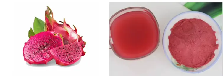 Dragon Fruit Powder