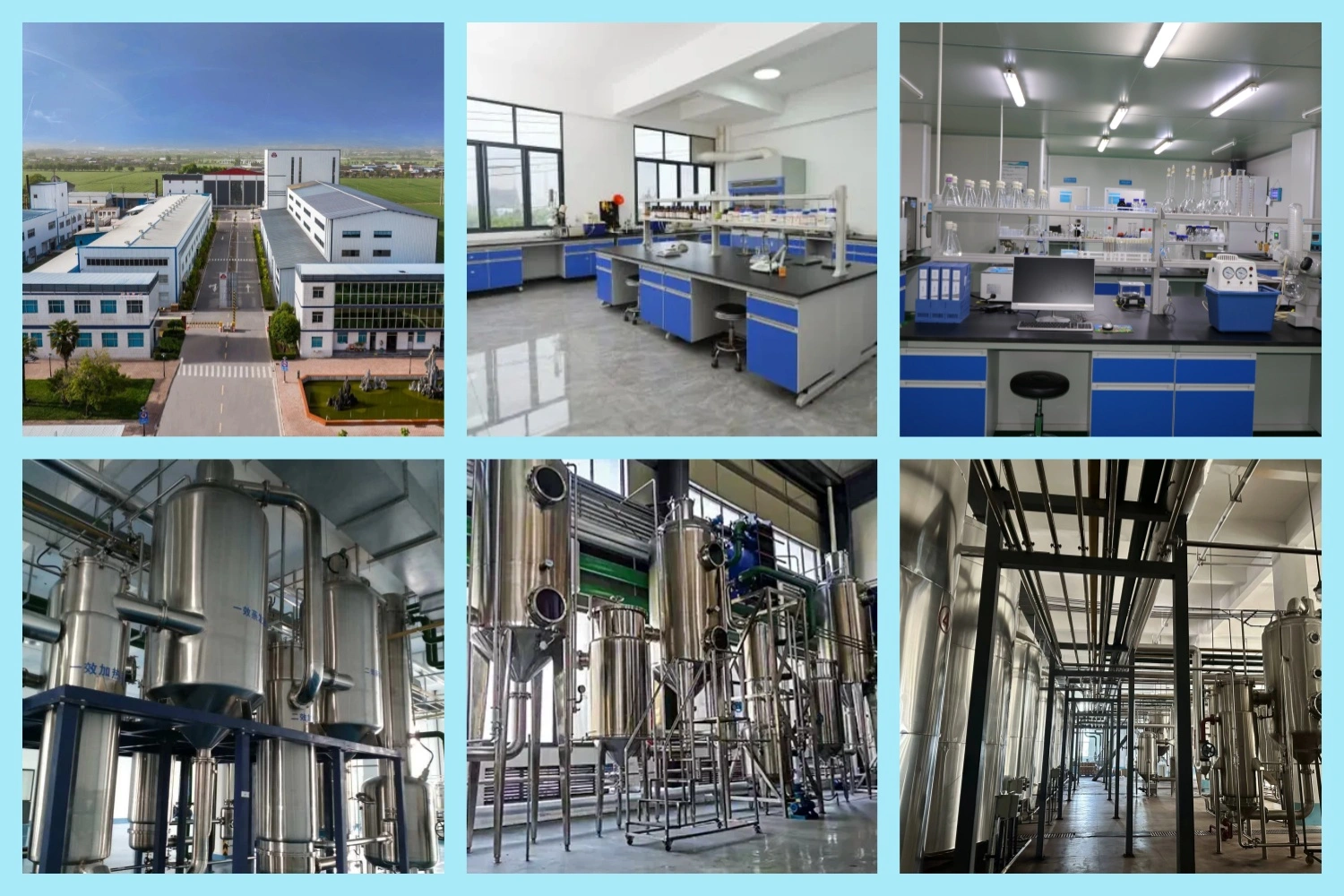 Our Factory