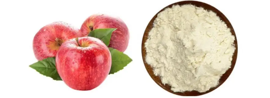 Apple Powder Bulk Apple Powder Bulk