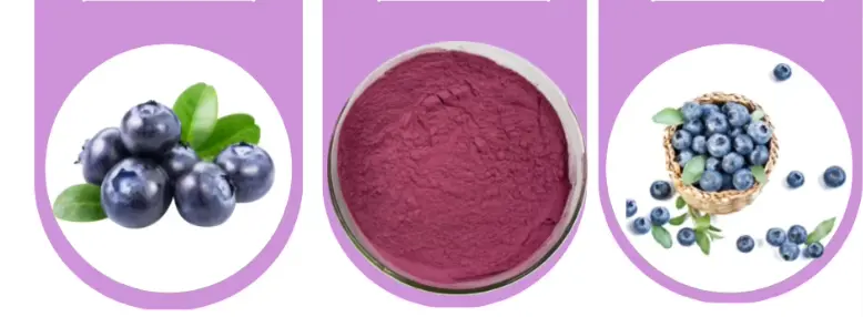 Blueberry Powder Blueberry Powder