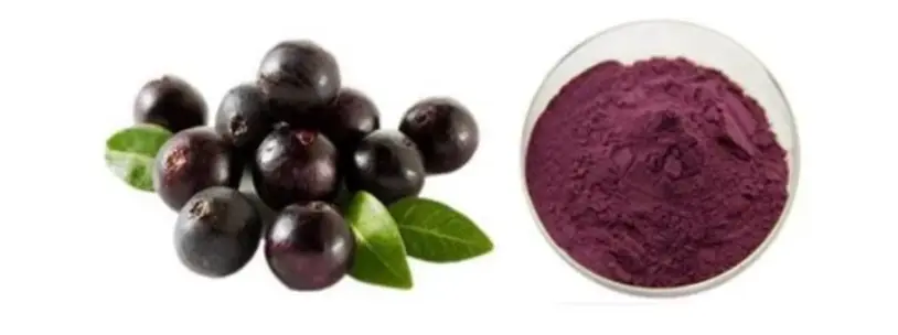 Acai Berry Powder 