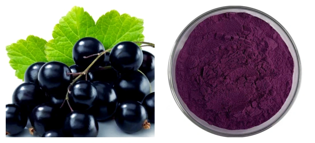Maqui Berry Powder 