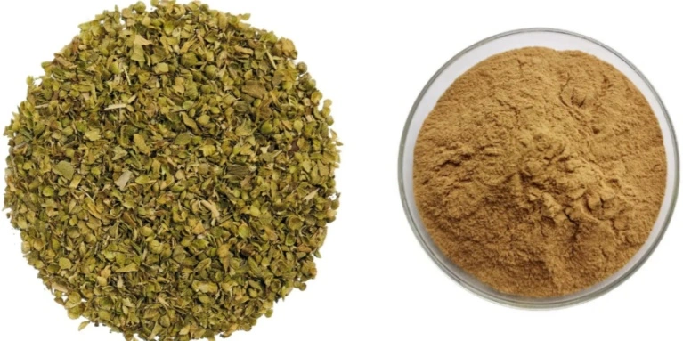 Oregano Extract Powder Oregano Extract Powder