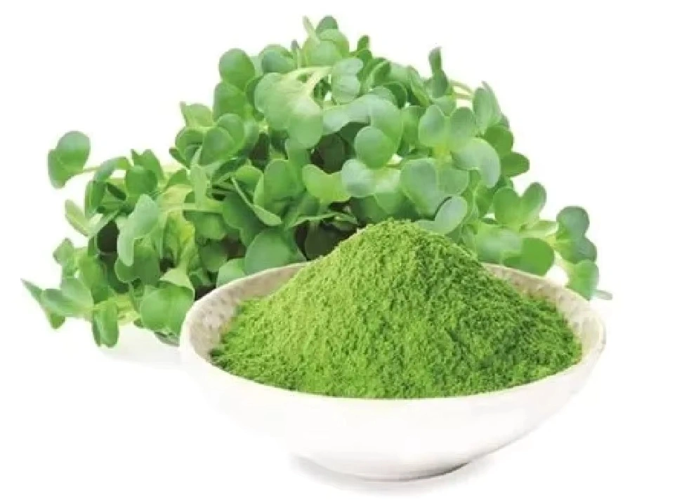 Alfalfa Powder Alfalfa Powder
