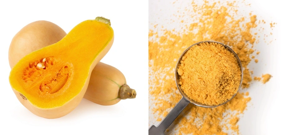 Pumpkin Powder Pumpkin Powder