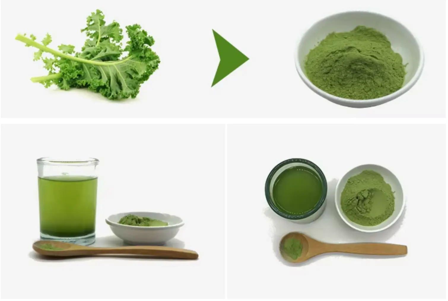 Kale Powder Kale Powder
