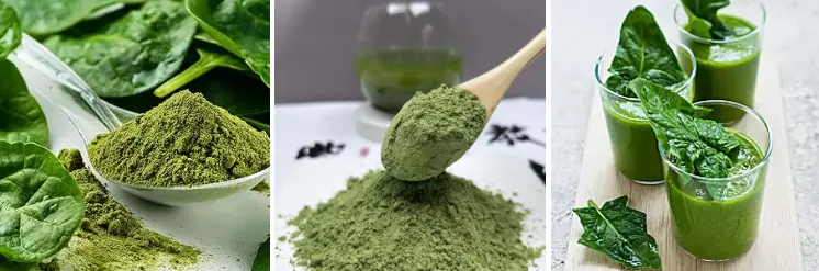 Spinach Powder Spinach Powder