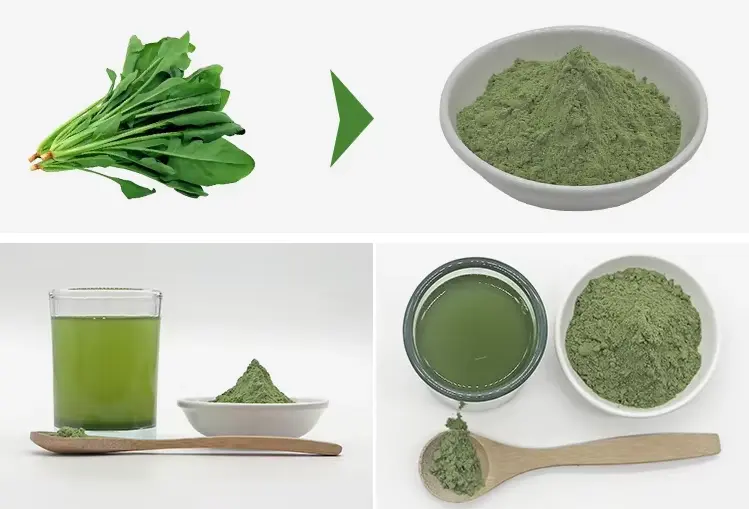 Spinach Powder Bulk Spinach Powder Bulk