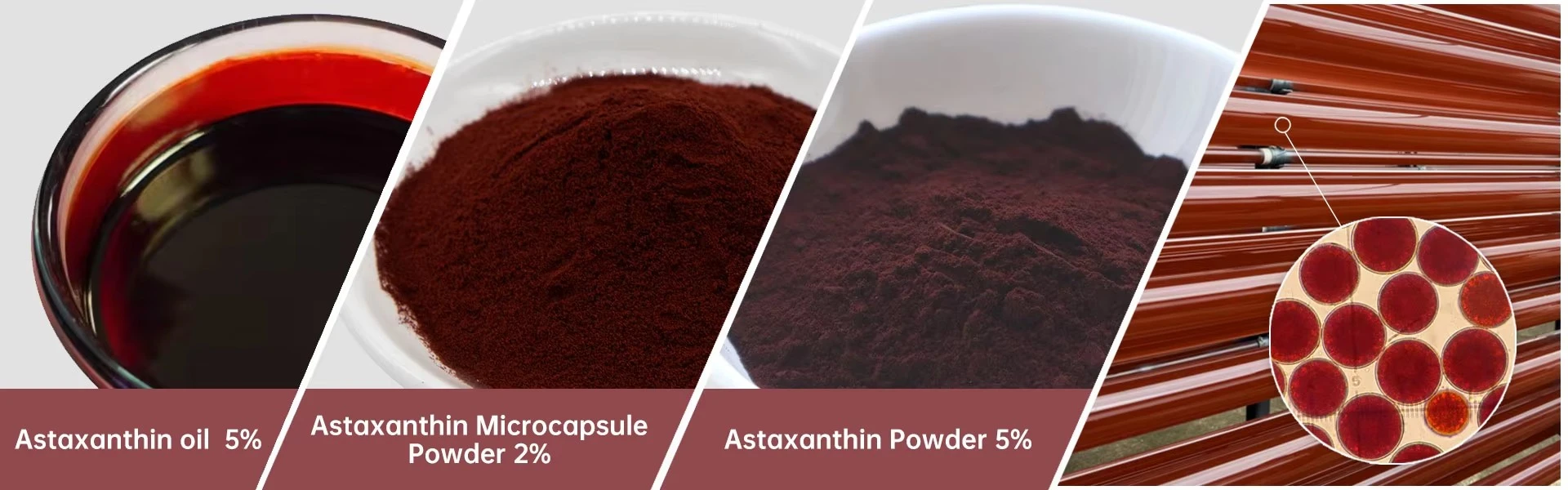 ​Astaxanthin Powder