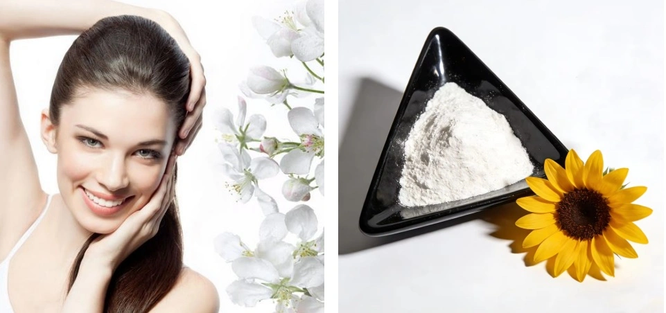 Azelaic Acid Powder Azelaic Acid Powder