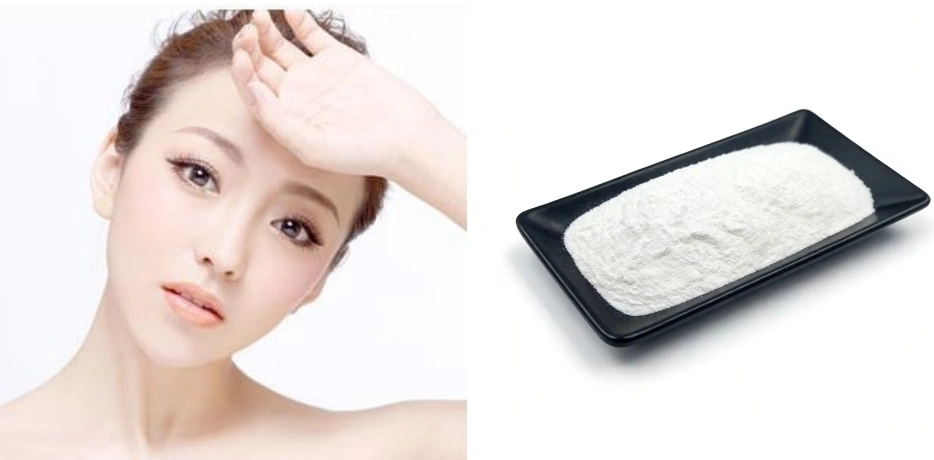 Ceramide Powder Ceramide Powder