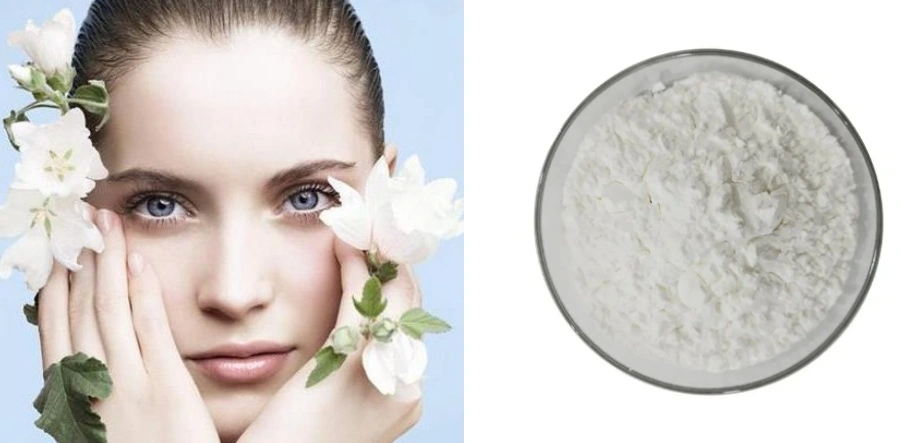 Vitamin B3 Niacinamide Powder
