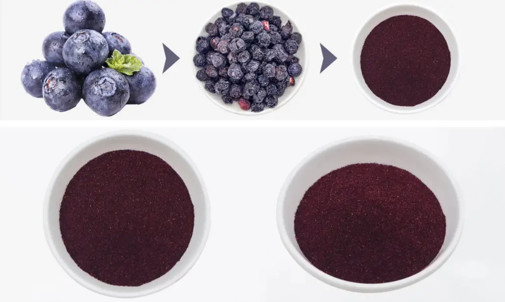 Freeze-Dried Blueberry Powder 
