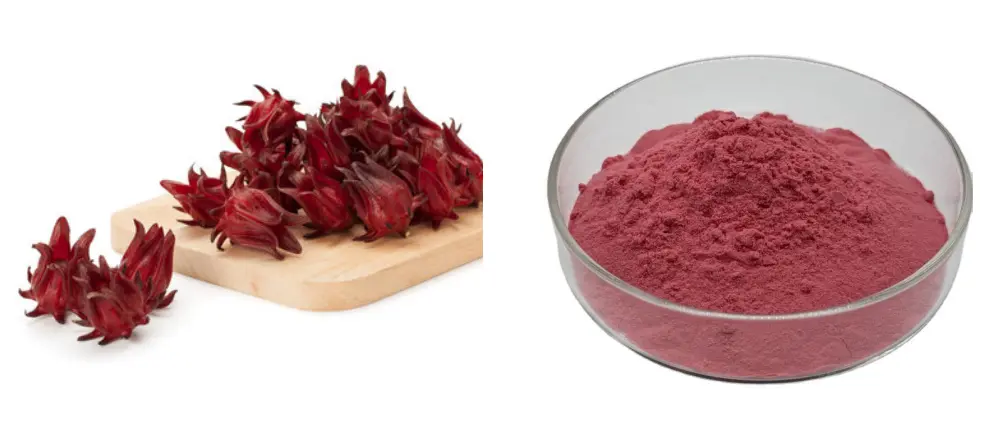 Hibiscus Sabdariffa Roselle Powder Hibiscus Sabdariffa Roselle Powder