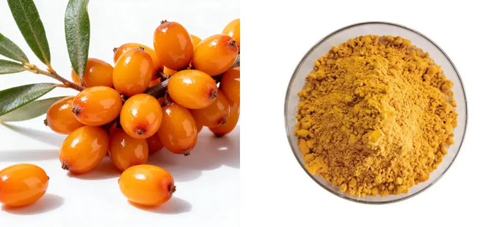 Sea Buckthorn Powder 