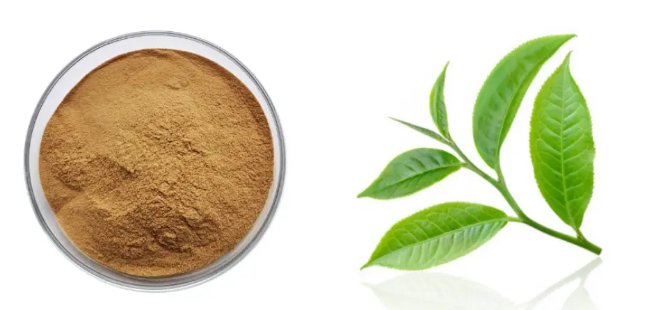Instant Green Tea Powder