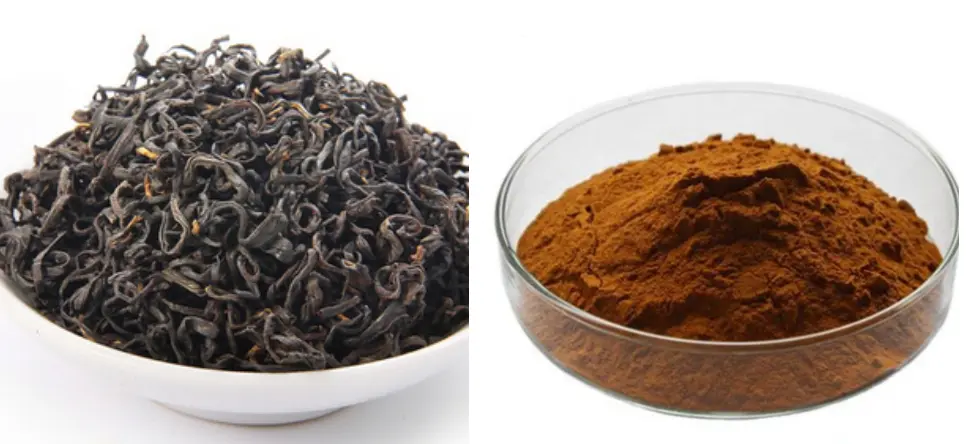 Instant Oolong Tea Powder Instant Oolong Tea Powder