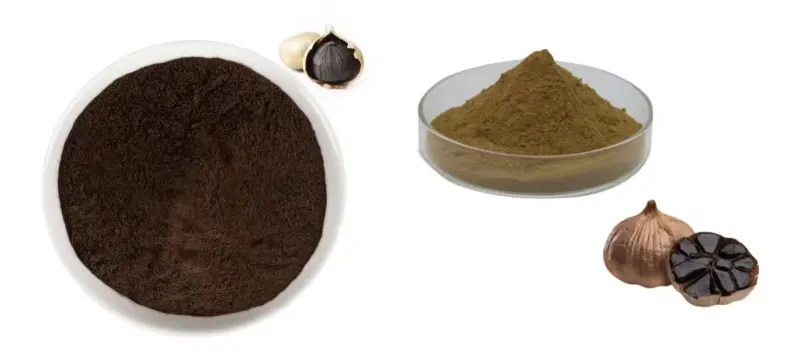 Garlic Extract Powder Garlic Extract Powder