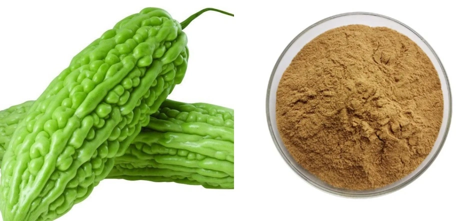 Bitter Melon Extract Powder