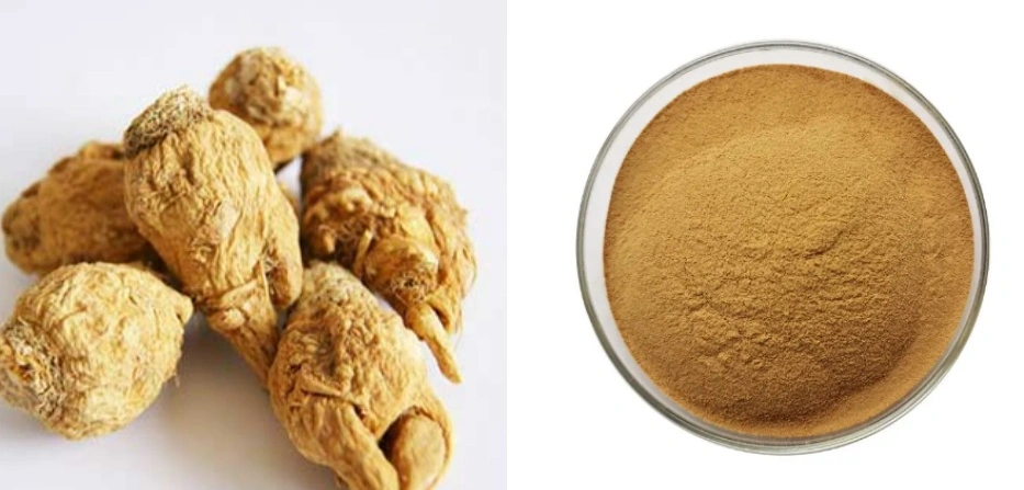 Maca Root Extract Powder