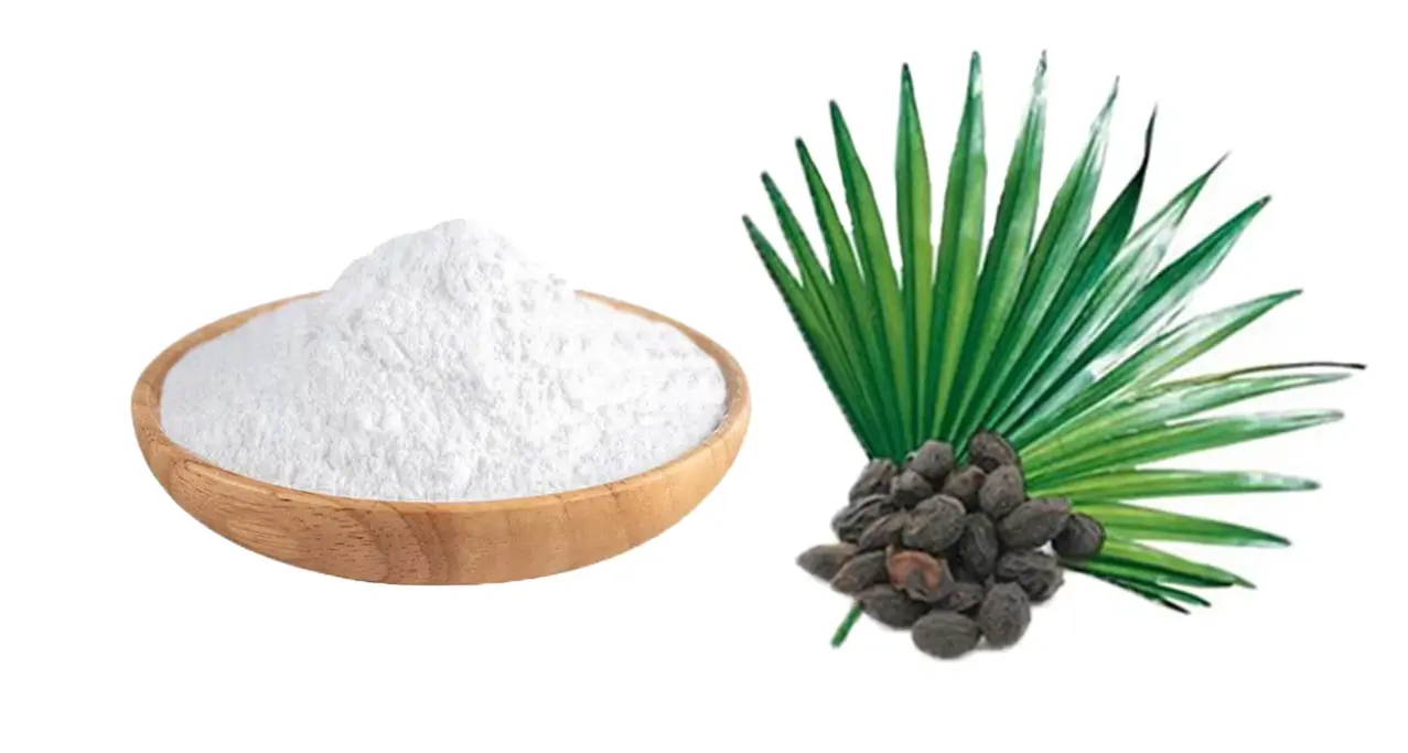 Saw Palmetto Extract Powder