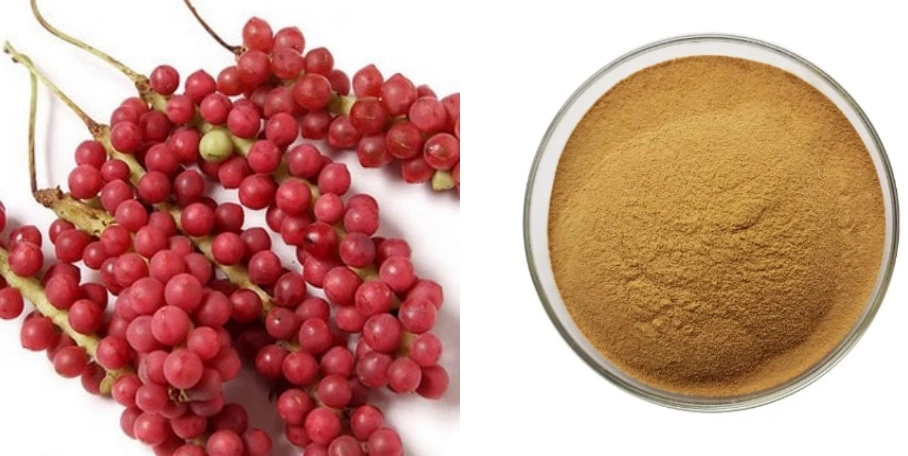 Schisandra Berry Extract Powder Schisandra Berry Extract Powder