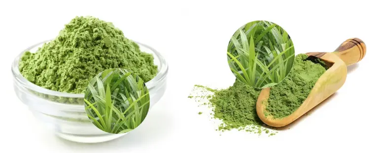Pandan Leaf Powder