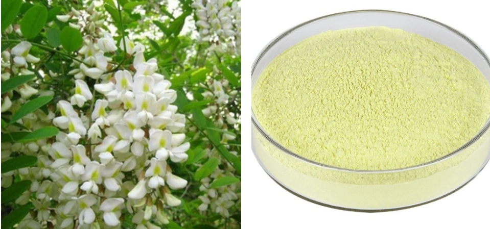 Rutin Powder Rutin Powder