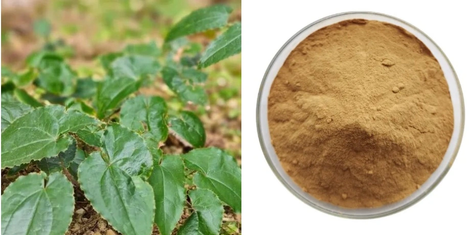 Horny Goat Weed Extract Powder