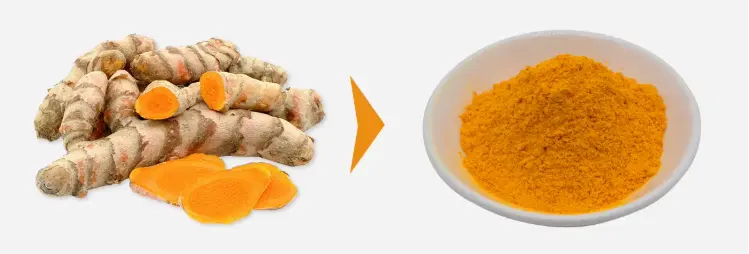 Curcumin Powder 