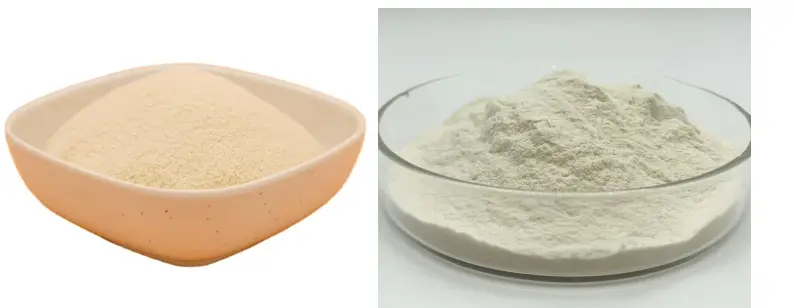 Xanthan Gum Powder 