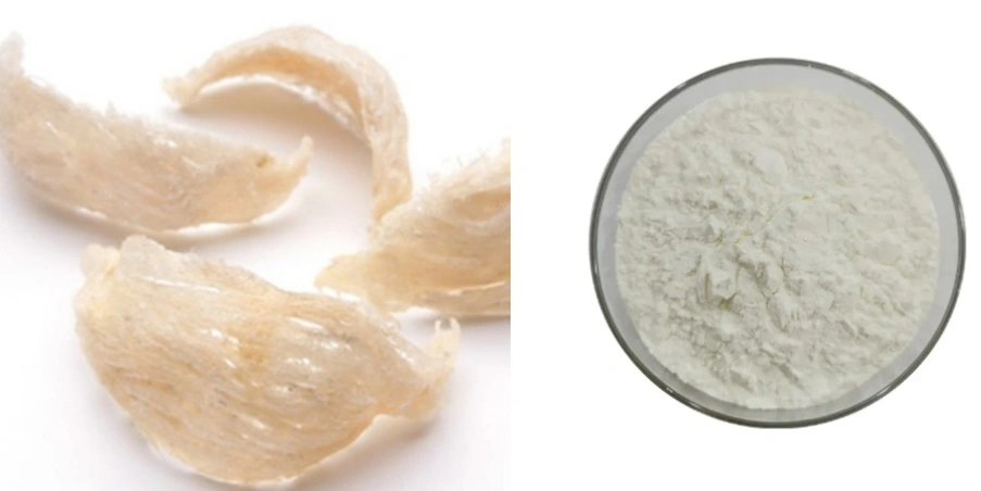 Sialic Acid Powder