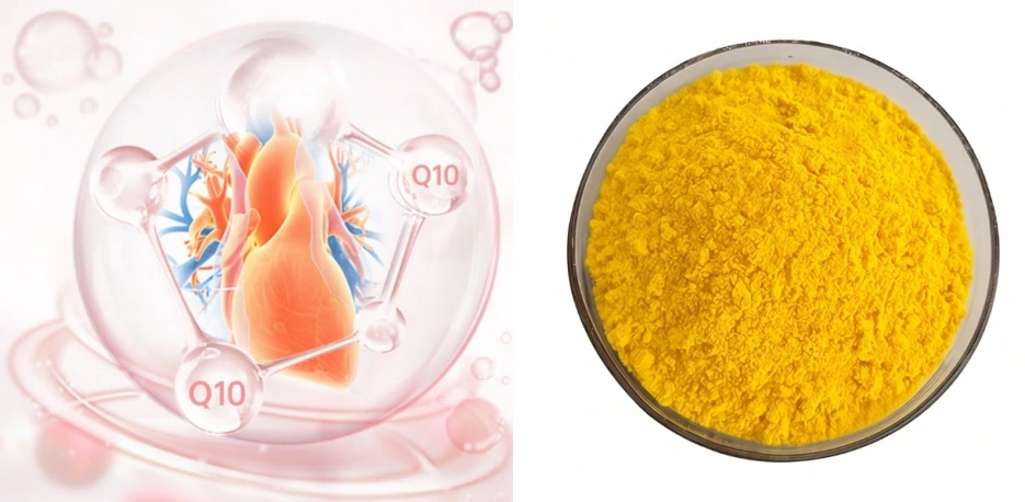 Coenzyme Q10 Powder Coenzyme Q10 Powder