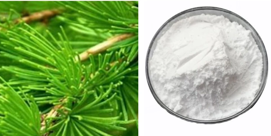 Taxifolin Powder Taxifolin Powder