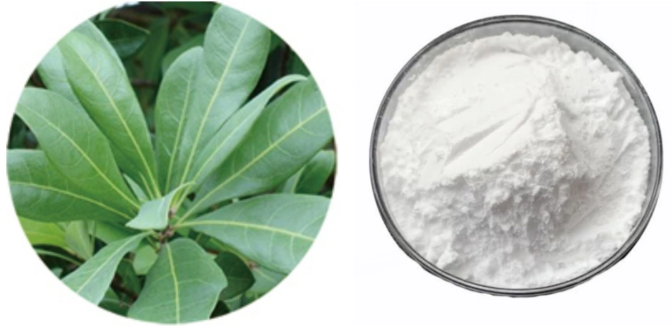 Dihydromyricetin Powder Dihydromyricetin Powder